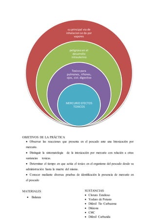 OBJETIVOS DE LA PRÁCTICA
 Observar las reacciones que presenta en el pescado ante una Intoxicación por
mercurio.
 Distinguir la sintomatología de la intoxicación por mercurio con relación a otras
sustancias toxicas.
 Determinar el tiempo en que actúa el toxico en el organismo del pescado desde su
administración hasta la muerte del mismo.
 Conocer mediante diversas pruebas de identificación la presencia de mercurio en
el pescado
MATERIALES
 Balanza
su principal via de
inhalacion se da por
vapores
peligroso en el
desarrollo
intrauterino
Toxico para
pulmones, riñones,
ojos, sist. digestivo
MERCURIO EFECTOS
TOXICOS
SUSTANCIAS
 Cloruro Estañoso
 Yoduro de Potasio
 Difenil Tio Carbazona
 Ditizona
 Cl4C
 Difenil Carbazida
 