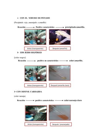  CON EL YODURO DE POTASIO
(Precipitado rojo, anaranjado o amarillo)
Reacción Positivo característico precipitado amarillo.
 CON ÁCIDO SULFÚRICO
(color negro)
Reacción positivo no característico color amarillo.
 CON DIFENIL CARBAZIDA
(color naranja)
Reacción positivo característico color naranja claro
Antes (transparente) Después (amarillo)
Antes (transparente) Después (anaranjado)
Antes (transparente) Después(amarillo claro)
 