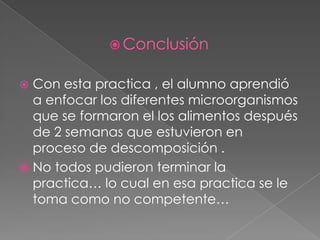 Conclusión Con esta practica , el alumno aprendió a enfocar los diferentes microorganismos que se formaron el los alimentos después de 2 semanas que estuvieron en proceso de descomposición .No todos pudieron terminar la practica… lo cual en esa practica se le toma como no competente…