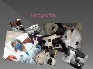 Fotografías