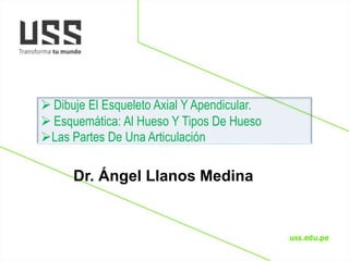 Dr. Ángel Llanos Medina
 Dibuje El Esqueleto Axial Y Apendicular.
 Esquemática: Al Hueso Y Tipos De Hueso
Las Partes De Una Articulación
 