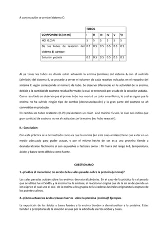 A continuación se armó el sistema C:


                                                       TUBOS
                   COMPONENTES (en ml)                 I     II   III   IV    V    VI
                   HCl 0.05N                           5     5    5     5     5    5
                   De los tubos de reacción del 0.5 0.5 0.5 0.5 0.5 0.5
                   sistema B, agregar:
                   Solución yodada                     0.5 0.5 0.5 0.5 0.5 0.5




Al ya tener los tubos en donde están actuando la enzima (amilasa) del sistema A con el sustrato
(almidón) del sistema B, se procede a verter el volumen de cada reactivo indicados en el recuadro del
sistema C según corresponda al número de tubo. Se observó diferencias en la actividad de la enzima,
debido a la cantidad de sustrato residual formado; la cual se reconoció por ayuda de la solución yodada.
Como resultado se observó que el primer tubo nos mostró un color amarillento, lo cual es signo que la
enzima no ha sufrido ningún tipo de cambio (desnaturalización) y la gran parte del sustrato se ah
convertido en producto.
En cambio los tubos restantes (II-VI) presentaron un color azul marino oscuro, lo cual nos indica que
gran cantidad de sustrato no se ah activado con la enzima (no hubo reacción).


II.- Conclusión:

Con esta práctica se a demostrado como es que la enzima (en este caso amilasa) tiene que estar en un
medio adecuado para poder actuar, y por el mismo hecho de ser esta una proteína tiende a
desnaturalizarse fácilmente si son expuestos a factores como : PH fuera del rango 6-8, temperatura,
ácidos y bases tanto débiles como fuerte.



                                             CUESTIONARIO

1.-¿Cuál es el mecanismo de acción de las sales pesadas sobre la proteína (enzima)?

Las sales pesadas actúan sobre las enzimas desnaturalizándolas. En el caso de la práctica la sal pesada
que se utilizó fue el So4Cu y la enzima fue la amilasa, al reaccionar origina que de la sal se desprenda un
ion cúprico el cual une el coo- de la enzima a los grupos de las cadenas laterales originando la ruptura de
los puentes salinos.

2.-¿Cómo actúan los ácidos y bases fuertes sobre la proteína (enzima)? Ejemplos

La exposición de los ácidos y bases fuertes a la enzima tienden a desnaturalizar a la proteína. Estas
tienden a precipitarse de la solución acuosa por la adición de ciertos ácidos y bases.
 