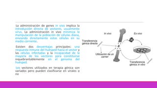 La administración de genes in vivo implica la
introducción directa de vectores, usualmente
virus. La administración in vivo minimiza la
manipulación de la población de células diana,
enviando directamente estas células en su
medio corriente.
Existen dos desventajas principales: una
respuesta inmune del huésped hacia el vector y
las células infectadas y la incapacidad de la
mayoría de los vectores para constituirse
inquebrantablemente en el genoma del
huésped.
Los vectores utilizados en terapia génica son
variados pero pueden clasificarse en virales o
no
 