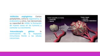 Inhibición angiogénica: Ciertos
polipéptidos, como la angiostatina, la
endostatina y otros, han demostrado
su capacidad de inhibir la formación
de nuevos vasos en los tumores y
controlar su crecimiento.
Inmunoterapia génica: la
estimulación de la respuesta
inmunitaria frente a las células
cancerosas.
 