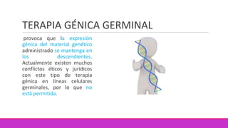 TERAPIA GÉNICA GERMINAL
provoca que la expresión
génica del material genético
administrado se mantenga en
los descendientes.
Actualmente existen muchos
conflictos éticos y jurídicos
con este tipo de terapia
génica en líneas celulares
germinales, por lo que no
está permitida.
 
