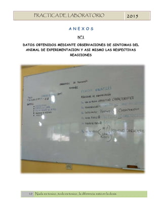 10 Nada es toxico , todo es toxico , la diferencia está en la dosis
PRACTICA DE LABORATORIO
“TOXICOLOGIA”
2015
A N E X O S
N°1
DATOS OBTENIDOS MEDIANTE OBSERVACIONES DE SINTOMAS DEL
ANIMAL DE EXPERIMENTACION Y ASI MISMO LAS RESPECTIVAS
REACCIONES
 