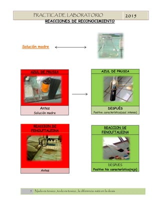 5 Nada es toxico , todo es toxico , la diferencia está en la dosis
PRACTICA DE LABORATORIO
“TOXICOLOGIA”
2015
REACCIONES DE RECONOCIMIENTO
Solución madre
AZUL DE PRUSIA
Antes
Solución madre
AZUL DE PRUSIA
DESPUÉS
Positivo característico(azul intenso)
REACCION DE
FENOLFTALEINA
Antes
 