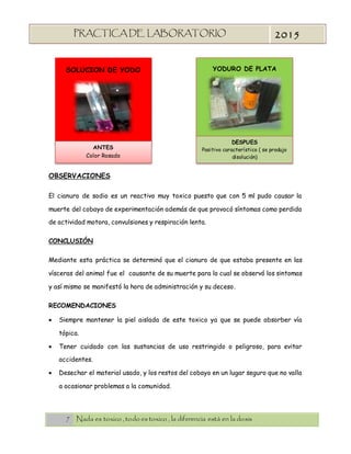 7 Nada es toxico , todo es toxico , la diferencia está en la dosis
PRACTICA DE LABORATORIO
“TOXICOLOGIA”
2015
YODURO DE PLATA
OBSERVACIONES
El cianuro de sodio es un reactivo muy toxico puesto que con 5 ml pudo causar la
muerte del cobayo de experimentación además de que provocó síntomas como perdida
de actividad motora, convulsiones y respiración lenta.
CONCLUSIÓN
Mediante esta práctica se determinó que el cianuro de que estaba presente en las
vísceras del animal fue el causante de su muerte para lo cual se observó los sintomas
y así mismo se manifestó la hora de administración y su deceso.
RECOMENDACIONES
 Siempre mantener la piel aislada de este toxico ya que se puede absorber vía
tópica.
 Tener cuidado con las sustancias de uso restringido o peligroso, para evitar
accidentes.
 Desechar el material usado, y los restos del cobayo en un lugar seguro que no valla
a ocasionar problemas a la comunidad.
SOLUCION DE YODO
ANTES
Color Rosado
DESPUES
Positivo característico ( se produjo
disolución)
 