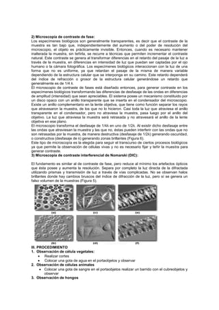 2) Microscopía de contraste de fase:
Los especímenes biológicos son generalmente transparentes, es decir que el contraste de la
muestra es tan bajo que, independientemente del aumento o del poder de resolución del
microscopio, el objeto es prácticamente invisible. Entonces, cuando es necesario mantener
inalterada la muestra, sin teñirla, se recurre a técnicas que permiten incrementar el contraste
natural. Este contraste se genera al transformar diferencias en el retardo del pasaje de la luz a
través de la muestra, en diferencias en intensidad de luz que puedan ser captadas por el ojo
humano o la cámara fotográfica. Los especímenes biológicos interaccionan con la luz de una
forma que no es uniforme, ya que retardan el pasaje de la misma de manera variable
dependiendo de la estructura celular que se interponga en su camino. Este retardo dependerá
del índice de refracción o grosor de la estructura celular generándose un retardo que
generalmente es de 1/4 λ.
El microscopio de contraste de fases está diseñado entonces, para generar contraste en los
especímenes biológicos transformando las diferencias de desfasaje de las ondas en diferencias
de amplitud (intensidad) que sean apreciables. El sistema posee un mecanismo constituido por
un disco opaco con un anillo transparente que se inserta en el condensador del microscopio.
Existe un anillo complementario en la lente objetiva, que tiene como función separar los rayos
que atravesaron la muestra, de los que no lo hicieron. Casi toda la luz que atraviesa el anillo
transparente en el condensador, pero no atraviesa la muestra, pasa luego por el anillo del
objetivo. La luz que atraviesa la muestra será retrasada y no atravesará el anillo de la lente
objetiva en ese plano.
El microscopio transforma el desfasaje de 1/4λ en uno de 1/2λ. Al existir dicho desfasaje entre
las ondas que atraviesan la muestra y las que no, éstas pueden interferir con las ondas que no
son retrasadas por la muestra, de manera destructiva (desfasaje de 1/2λ) generando oscuridad,
o constructiva (desfasaje de λ) generando zonas brillantes (Figura 6).
Este tipo de microscopía es la elegida para seguir el transcurso de ciertos procesos biológicos
ya que permite la observación de células vivas y no es necesario fijar y teñir la muestra para
generar contraste.
3) Microscopía de contraste interferencial de Nomarski (DIC):

El fundamento es similar al de contraste de fase, pero reduce al mínimo los artefactos ópticos
que ésta posee y aumenta la resolución. Separa por completo la luz directa de la difractada
utilizando prismas y transmisión de luz a través de vías complicadas. No se observan halos
brillantes donde hay cambios bruscos del índice de difracción de la luz, pero sí se genera un
falso volumen de la muestras (Figura 5).




III. PROCEDIMIENTO
1. Observación de célula vegetales:
        Realizar cortes
        Colocar una gota de agua en el portaobjetos y observar
2. Observación de células animales
        Colocar una gota de sangre en el portaobjetos realizar un barrido con el cubreobjetos y
        observar
3. Observación de hongos
 