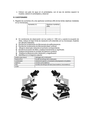 Colocar una gota de agua en el portaobjetos, con el asa de siembra esparcir la
       muestra, colocar el cubreobjetos y observar

IV. CUESTIONARIO

1. Registre los aumentos (X) y las aperturas numéricas (AN) de las lentes objetivas instaladas
   en su microscopio.
                      Aumento (×)              Apertura numérica
                                               (AN)




   2. En condiciones de observación con luz verde (λ = 550 nm) y usando la ecuación de
      Abbe, indique el mejor límite de resolución (LR) obtenible con su microscopio. Explicite
      los cálculos realizados.
   3. Escriba los fundamentos de Microscopía de epifluorescencia.
   4. Escriba los fundamentos de Microscopía láser confocal
   5. Dibuje lo observado indicando el aumento correspondiente:
   6. Escriba la ecuación de Abbe y explique brevemente su significado.
   7. Explique brevemente el concepto de apertura numérica.
   8. Explique la diferencia entre resolución y magnificación.
   9. Identifique en el diagrama adjunto:
 