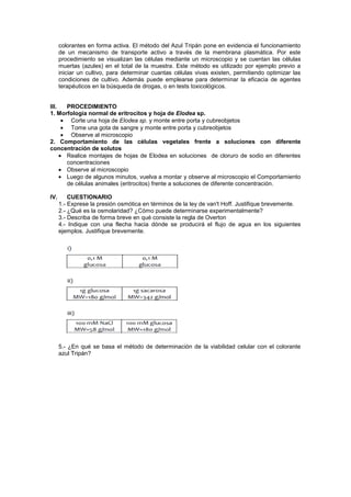 colorantes en forma activa. El método del Azul Tripán pone en evidencia el funcionamiento
      de un mecanismo de transporte activo a través de la membrana plasmática. Por este
      procedimiento se visualizan las células mediante un microscopio y se cuentan las células
      muertas (azules) en el total de la muestra. Este método es utilizado por ejemplo previo a
      iniciar un cultivo, para determinar cuantas células vivas existen, permitiendo optimizar las
      condiciones de cultivo. Además puede emplearse para determinar la eficacia de agentes
      terapéuticos en la búsqueda de drogas, o en tests toxicológicos.


III.  PROCEDIMIENTO
1. Morfología normal de eritrocitos y hoja de Elodea sp.
       Corte una hoja de Elodea sp. y monte entre porta y cubreobjetos
       Tome una gota de sangre y monte entre porta y cubreobjetos
       Observe al microscopio
2. Comportamiento de las células vegetales frente a soluciones con diferente
concentración de solutos
      Realice montajes de hojas de Elodea en soluciones de cloruro de sodio en diferentes
      concentraciones
      Observe al microscopio
      Luego de algunos minutos, vuelva a montar y observe al microscopio el Comportamiento
      de células animales (eritrocitos) frente a soluciones de diferente concentración.

IV.       CUESTIONARIO
      1.- Exprese la presión osmótica en términos de la ley de van't Hoff. Justifique brevemente.
      2.- ¿Qué es la osmolaridad? ¿Cómo puede determinarse experimentalmente?
      3.- Describa de forma breve en qué consiste la regla de Overton
      4.- Indique con una flecha hacia dónde se producirá el flujo de agua en los siguientes
      ejemplos. Justifique brevemente.




      5.- ¿En qué se basa el método de determinación de la viabilidad celular con el colorante
      azul Tripán?
 