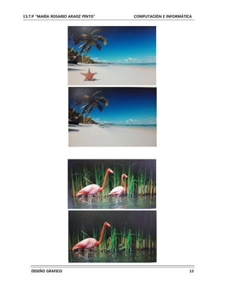 I.S.T.P “MARÍA ROSARIO ARAOZ PINTO” COMPUTACIÓN E INFORMÁTICA
DISEÑO GRAFICO 13
 