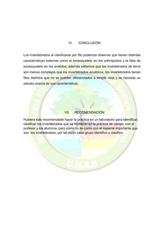 VI. CONCLUSIÓN 
Los invertebrados al clasificarse por filo podemos observar que tienen distintas características externas como el exoesqueleto en los arthrópodos y la falta de exoesqueleto en los anélidos, además sabemos que los invertebrados de tierra son menos complejos que los invertebrados acuáticos, los invertebrados tienen filos distintos que no se pueden diferenciados a simple vista y se necesita un estudio acerca de sus características. 
VII. RECOMENDACIÓN 
Hubiera sido recomendable hacer la práctica en un laboratorio para identificar, clasificar los invertebrados que se recolecto en la práctica de campo, con el profesor y los alumnos, pero como no se conto con el material importante que son los invertebrados, por tal razón cada grupo identifico y clasifico. 
 