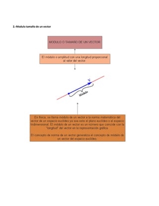 2.-Modulo tamaño de un vector
 