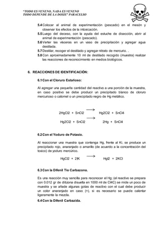 “TODO ES VENENO, NADA ES VENENO
TODO DEPENDE DE LA DOSIS” PARACELSO
5.4Colocar al animal de experimentación (pescado) en el mesón y
observar los efectos de la intoxicación.
5.5Luego del deceso, con la ayuda del estuche de disección, abrir al
animal de experimentación (pescado).
5.6Verter las vísceras en un vaso de precipitación y agregar agua
destilada.
5.7Destilar, recoger el destilado y agregar nitrato de mercurio. .
5.8Con aproximadamente 10 ml de destilado recogido (muestra) realizar
las reacciones de reconocimiento en medios biológicos.
6. REACCIONES DE IDENTIFICACIÓN:
6.1Con el Cloruro Estañoso:
Al agregar una pequeña cantidad del reactivo a una porción de la muestra,
en caso positivo se debe producir un precipitado blanco de cloruro
mercurioso o calomel o un precipitado negro de Hg metálico.
2HgCl2 + SnCl2 Hg2Cl2 + SnCl4
Hg2Cl2 + SnCl2 2Hg + SnCl4
6.2Con el Yoduro de Potasio.
Al reaccionar una muestra que contenga Hg, frente al Ki, se produce un
precipitado rojo, anaranjado o amarillo (de acuerdo a la concentración del
toxico) de yoduro mercúrico.
HgCl2 + 2IK HgI2 + 2KCl
6.3Con la Difenil Tio Carbazona.
Es una reacción muy sencilla para reconocer el Hg; (el reactivo se prepara
con 0.012 gr de ditizona disuelta en 1000 ml de Cl4C) se mide un poco de
muestra y se añade algunas gotas de reactivo con el cual debe producir
un color anaranjado en caso (+), si es necesario se puede calentar
ligeramente la mezcla.
6.4Con la Difenil Carbazida.
 