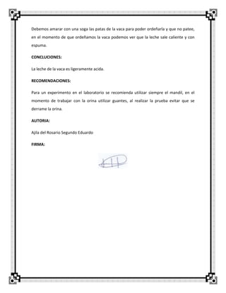 Debemos amarar con una soga las patas de la vaca para poder ordeñarla y que no patee,
en el momento de que ordeñamos la vaca podemos ver que la leche sale caliente y con
espuma.
CONCLUCIONES:
La leche de la vaca es ligeramente acida.
RECOMENDACIONES:
Para un experimento en el laboratorio se recomienda utilizar siempre el mandil, en el
momento de trabajar con la orina utilizar guantes, al realizar la prueba evitar que se
derrame la orina.
AUTORIA:
Ajila del Rosario Segundo Eduardo
FIRMA:
 
