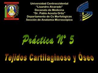 Universidad Centroccidental
       “Lisandro Alvarado”
      Decanato de Medicina
     “Dr. Pablo Acosta Ortíz”
Departamento de Cs Morfológicas
Sección de Anatomía Microscópica
 