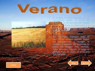 • El verano o estío empieza, en el
hemisferio norte, el 21-22 de
junio. Es la temporada de mayor
calor y de lluvia, es ideal para ir a
la playa. Los días son más largos
que las noches.
• Las hormigas trabajan todo el
año. Es en verano cuando llegan
los saltamontes a recoger la
comida y cuando les imponen la
tarea de recoger más comida.
Ellos volverán cuando se caiga la
última hoja. Es decir, al principio
del invierno.
Índice
Atrás Siguiente
 