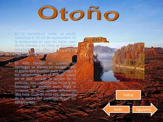 • En el hemisferio norte, el otoño
comienza el 22-23 de septiembre. Es
la temporada en que las hojas caen
de los árboles y el clima se hace más
templado. Los días y las noches
tienen la misma duración.
• En este tiempo es cuando las
hormigas se afanan en recoger todo
el grano que pueden para entregar a
los saltamontes. Es el tiempo mayor
en el que sucede la acción de la
película. Van cayendo las hojas y las
hormigas se asustan pues llega el
invierno. Al final, queda solamente
una hoja. Cuando ésta cae, en medio
de la niebla del invierno, llegan los
saltamontes.
Índice
Atrás Siguiente
 
