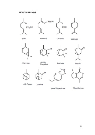 14
MONOTERPENOS
 
