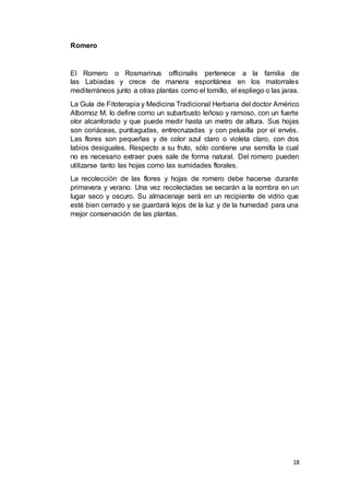 18
Romero
El Romero o Rosmarinus officinalis pertenece a la familia de
las Labiadas y crece de manera espontánea en los matorrales
mediterráneos junto a otras plantas como el tomillo, el espliego o las jaras.
La Guía de Fitoterapia y Medicina Tradicional Herbaria del doctor Américo
Albornoz M. lo define como un subarbusto leñoso y ramoso, con un fuerte
olor alcanforado y que puede medir hasta un metro de altura. Sus hojas
son coriáceas, puntiagudas, entrecruzadas y con pelusilla por el envés.
Las flores son pequeñas y de color azul claro o violeta claro, con dos
labios desiguales. Respecto a su fruto, sólo contiene una semilla la cual
no es necesario extraer pues sale de forma natural. Del romero pueden
utilizarse tanto las hojas como las sumidades florales.
La recolección de las flores y hojas de romero debe hacerse durante
primavera y verano. Una vez recolectadas se secarán a la sombra en un
lugar seco y oscuro. Su almacenaje será en un recipiente de vidrio que
esté bien cerrado y se guardará lejos de la luz y de la humedad para una
mejor conservación de las plantas.
 