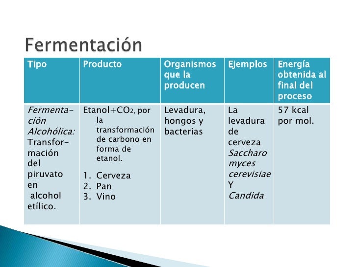 Fermentación (Prac. 1) Fermentación (Prac. 1)