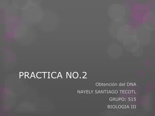 PRACTICA NO.2
                 Obtención del DNA
           NAYELY SANTIAGO TECOTL
                      GRUPO: 515
                      BIOLOGIA III
 