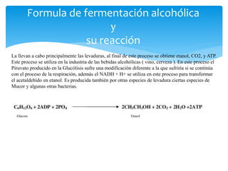 Formula de fermentación alcohólica
y
su reacción
La llevan a cabo principalmente las levaduras, al final de este proceso se obtiene etanol, CO2, y ATP.
Este proceso se utiliza en la industria de las bebidas alcohólicas ( vino, cerveza ). En este proceso el
Piruvato producido en la Glucólisis sufre una modificación diferente a la que sufriría si se continúa
con el proceso de la respiración, además el NADH + H+ se utiliza en este proceso para transformar
el acetaldehído en etanol. Es producida también por otras especies de levadura ciertas especies de
Mucor y algunas otras bacterias.
 
