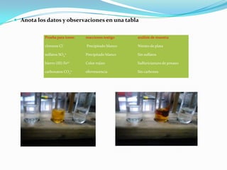  Anota los datos y observaciones en una tabla


           Prueba para iones:   reacciones testigo   análisis de muestra

           cloruros Cl-         Precipitado blanco   Nitrato de plata

           sulfatos SO42-       Precipitado blanco   Sin sulfatos

           hierro (III) Fe3     Color rojizo         Sulfuricianuro de potasio

           carbonatos CO32-     efervescencia        Sin carbones
 