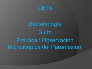 CBTis  Bacteriología 3 Lm Practica : Observación Microscópica del Paramesium 