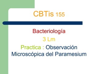 CBTis 155 Bacteriología 3 Lm Practica :Observación Microscópica del Paramesium 