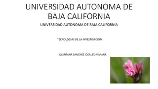 UNIVERSIDAD AUTONOMA DE
BAJA CALIFORNIA
UNIVERSIDAD AUTONOMA DE BAJA CALIFORNIA
TECNOLOGIAS DE LA INVESTIGACION
QUINTANA SANCHEZ IDEALEXI VIVIANA
 
