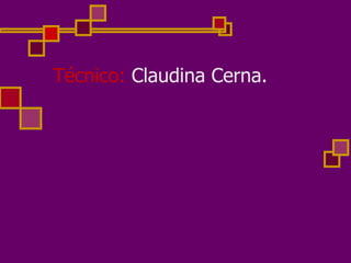 Técnico:  Claudina Cerna.  