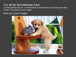 Uso de las herramientas Lazo
La herramienta laso es un instrumento que photoshop nos brinda para sele-
cionar una objeto de una imagen
Suba una nueva imagen
 
