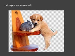 La imagen se mostrara así:
 