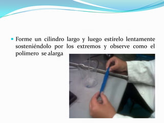  Forme un cilindro largo y luego estírelo lentamente
sosteniéndolo por los extremos y observe como el
polímero se alarga
 