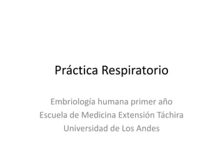 Práctica Respiratorio

   Embriología humana primer año
Escuela de Medicina Extensión Táchira
      Universidad de Los Andes
 