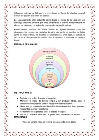 33
“Todo es veneno nada es veneno todo depende de su dosis”
hidrogeno y cloruro de hidrogeno o encontrarse en forma de cristales como el
cianuro de sodio o el cianuro de potasio.
Es potencialmente letal, actuando como toxico a través de la inhibición del
complejo citocromo oxidasa, por ende bloqueando la cadena transportadora de
electrones, sistemas centrales del proceso de respiración celular.
El cianuro está presente en forma natural en algunos alimentos como las
almendras, las nueces, las castañas, la parte interna de las semillas de frutas
como los melocotones, las ciruelas, los albaricoques, entre otros, el cazabe, la
raíz de yuca y las pepitas de muchas otras frutas como la manzana, las peras o
la uva.
MANDALA DE CIANURO
INSTRUCCIONES:
 Trabajar con orden, limpieza y son prisa.
 Mantener la mesa de trabajo limpio y sin producto, libros, cajas o
accesorios innecesarios para el trabajo que esté realizando.
 Llevar la ropa adecuada para la realización de la práctica: bata, guantes,
mascarillas, gorros y zapatones.
 Al momento de la práctica tener el cabello recogido.
 Utilizar la campana extractora de gases siempre que sea necesario.
MATERIALES
 