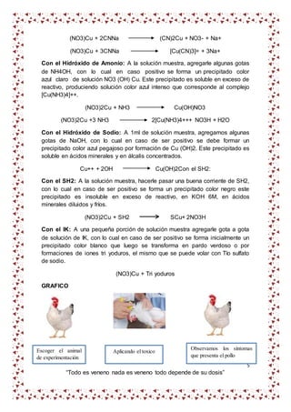 5
“Todo es veneno nada es veneno todo depende de su dosis”
(NO3)Cu + 2CNNa (CN)2Cu + NO3- + Na+
(NO3)Cu + 3CNNa [Cu(CN)3]= + 3Na+
Con el Hidróxido de Amonio: A la solución muestra, agregarle algunas gotas
de NH4OH, con lo cual en caso positivo se forma un precipitado color
azul claro de solución NO3 (OH) Cu. Este precipitado es soluble en exceso de
reactivo, produciendo solución color azul intenso que corresponde al complejo
[Cu(NH3)4]++.
(NO3)2Cu + NH3 Cu(OH)NO3
(NO3)2Cu +3 NH3 2[Cu(NH3)4+++ NO3H + H2O
Con el Hidróxido de Sodio: A 1ml de solución muestra, agregamos algunas
gotas de NaOH, con lo cual en caso de ser positivo se debe formar un
precipitado color azul pegajoso por formación de Cu (OH)2. Este precipitado es
soluble en ácidos minerales y en álcalis concentrados.
Cu++ + 2OH Cu(OH)2Con el SH2:
Con el SH2: A la solución muestra, hacerle pasar una buena corriente de SH2,
con lo cual en caso de ser positivo se forma un precipitado color negro este
precipitado es insoluble en exceso de reactivo, en KOH 6M, en ácidos
minerales diluidos y fríos.
(NO3)2Cu + SH2 SCu+ 2NO3H
Con el IK: A una pequeña porción de solución muestra agregarle gota a gota
de solución de IK, con lo cual en caso de ser positivo se forma inicialmente un
precipitado color blanco que luego se transforma en pardo verdoso o por
formaciones de iones tri yoduros, el mismo que se puede volar con Tío sulfato
de sodio.
(NO3)Cu + Tri yoduros
GRAFICO
Escoger el animal
de experimentación
Aplicando el toxico
Observamos los síntomas
que presenta el pollo
 
