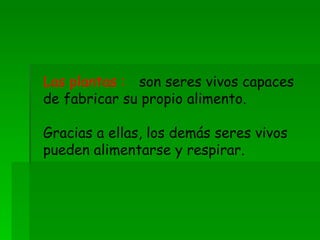 Las plantas : son seres vivos capaces de fabricar su propio alimento. Gracias a ellas, los demás seres vivos pueden alimentarse y respirar. 