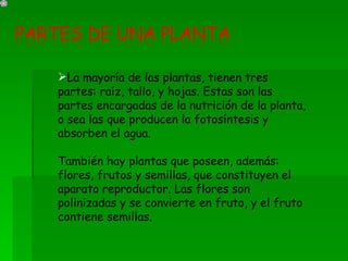 La mayoría de las plantas, tienen tres partes: raíz, tallo, y hojas. Estas son las partes encargadas de la nutrición de la planta, o sea las que producen la fotosíntesis y absorben el agua. También hay plantas que poseen, además: flores, frutos y semillas, que constituyen el aparato reproductor. Las flores son polinizadas y se convierte en fruto, y el fruto contiene semillas. 