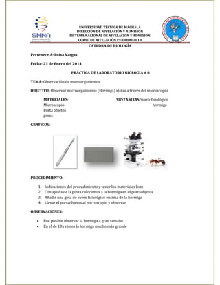 UNIVERSIDAD TÉCNICA DE MACHALA
DIRECCIÓN DE NIVELACIÓN Y ADMISIÓN
SISTEMA NACIONAL DE NIVELACIÓN Y ADMISION
CURSO DE NIVELACIÓN PERIODO 2013

CATEDRA DE BIOLOGÍA
Pertenece A: Luisa Vargas
Fecha: 23 de Enero del 2014.
PRÁCTICA DE LABORATORIO BIOLOGIA # 8
TEMA: Observación de microorganismos.
OBJETIVO: Observar microorganismos (Hormiga) vistas a través del microscopio
MATERIALES:
Microscopio
Porta objetos
pinza

SUSTANCIAS:Suero fisiológico
hormiga

GRAFICOS:

PROCEDIMIENTO:
1.
2.
3.
4.

Indicaciones del procedimiento y tener los materiales listo
Con ayuda de la pinza colocamos a la hormiga en el portaobjetos
Añadir una gota de suero fisiológico encima de la hormiga
Llevar el portaobjetos al microscopio y observar

OBSERVACIONES:
Fue posible observar la hormiga a gran tamaño
En el de 10x vimos la hormiga mucho más grande

 