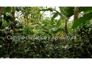 Cambio climático y agricultura
 