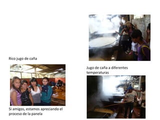 Rico jugo de caña

                                   Jugo de caña a diferentes
                                   tempera...