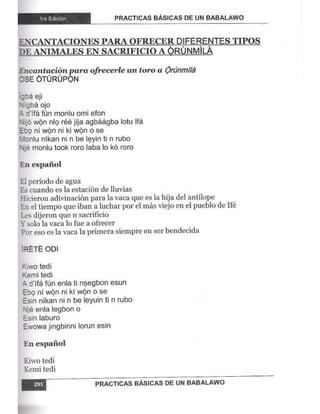 Practicas basicas de um babalawo 03