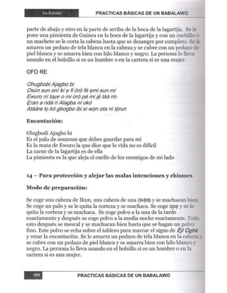 Practicas basicas de um babalawo 06