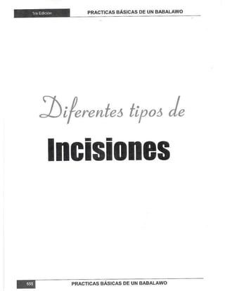 Practicas basicas de um babalawo 06