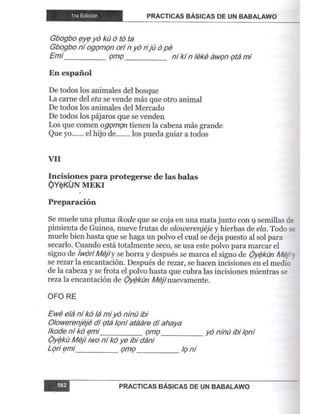 Practicas basicas de um babalawo 06