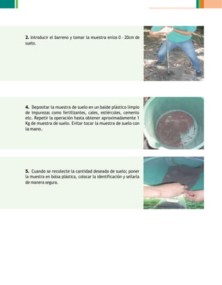 4. Depositar la muestra de suelo en un balde plástico limpio
de impurezas como fertilizantes, cales, estiércoles, cemento
etc. Repetir la operación hasta obtener aproximadamente 1
Kg de muestra de suelo. Evitar tocar la muestra de suelo con
la mano.
5. Cuando se recolecte la cantidad deseada de suelo; poner
la muestra en bolsa plástica, colocar la identificación y sellarla
de manera segura.
2. Introducir el barreno y tomar la muestra enlos 0 – 20cm de
suelo.
 