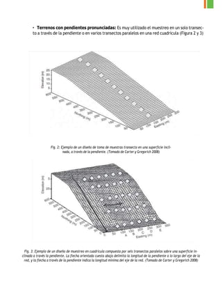 • Terrenos con pendientes pronunciadas: Es muy utilizado el muestreo en un solo transec-
to a través de la pendiente o en varios transectos paralelos en una red cuadrícula (Figura 2 y 3)
Fig. 2: Ejemplo de un diseño de toma de muestras transecto en una superficie incli-
nada, a través de la pendiente. (Tomado de Carter y Gregorich 2008)
Fig. 3: Ejemplo de un diseño de muestreo en cuadrícula compuesta por seis transectos paralelos sobre una superficie in-
clinada a través la pendiente. La flecha orientada cuesta abajo delimita la longitud de la pendiente a lo largo del eje de la
red, y la flecha a través de la pendiente indica la longitud mínima del eje de la red. (Tomado de Carter y Gregorich 2008)
 